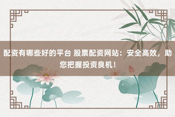 配资有哪些好的平台 股票配资网站：安全高效，助您把握投资良机！