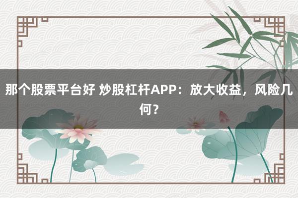 那个股票平台好 炒股杠杆APP：放大收益，风险几何？
