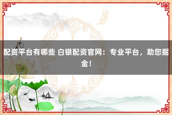 配资平台有哪些 白银配资官网：专业平台，助您掘金！