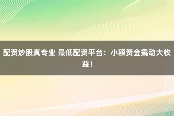 配资炒股真专业 最低配资平台：小额资金撬动大收益！