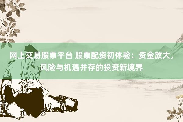 网上交易股票平台 股票配资初体验：资金放大，风险与机遇并存的投资新境界