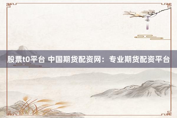 股票t0平台 中国期货配资网：专业期货配资平台