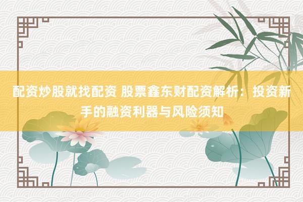 配资炒股就找配资 股票鑫东财配资解析：投资新手的融资利器与风险须知