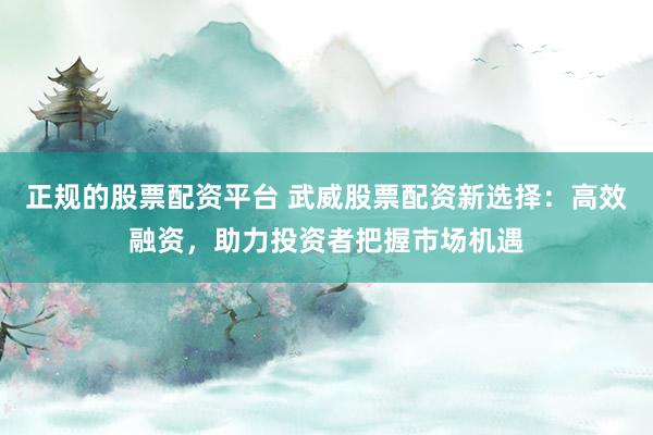 正规的股票配资平台 武威股票配资新选择：高效融资，助力投资者把握市场机遇