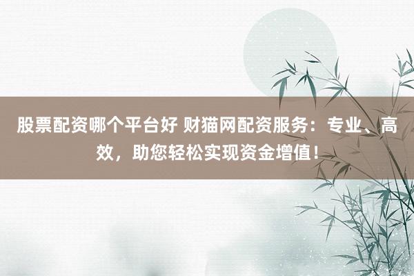 股票配资哪个平台好 财猫网配资服务：专业、高效，助您轻松实现资金增值！