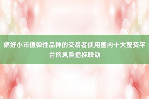 偏好小市值弹性品种的交易者使用国内十大配资平台的风险指标联动