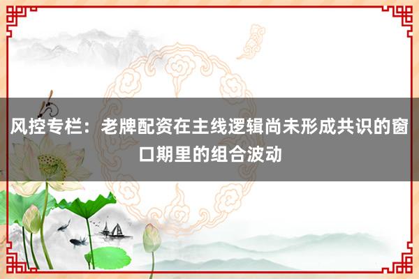 风控专栏：老牌配资在主线逻辑尚未形成共识的窗口期里的组合波动