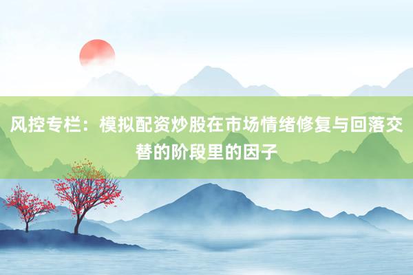 风控专栏：模拟配资炒股在市场情绪修复与回落交替的阶段里的因子